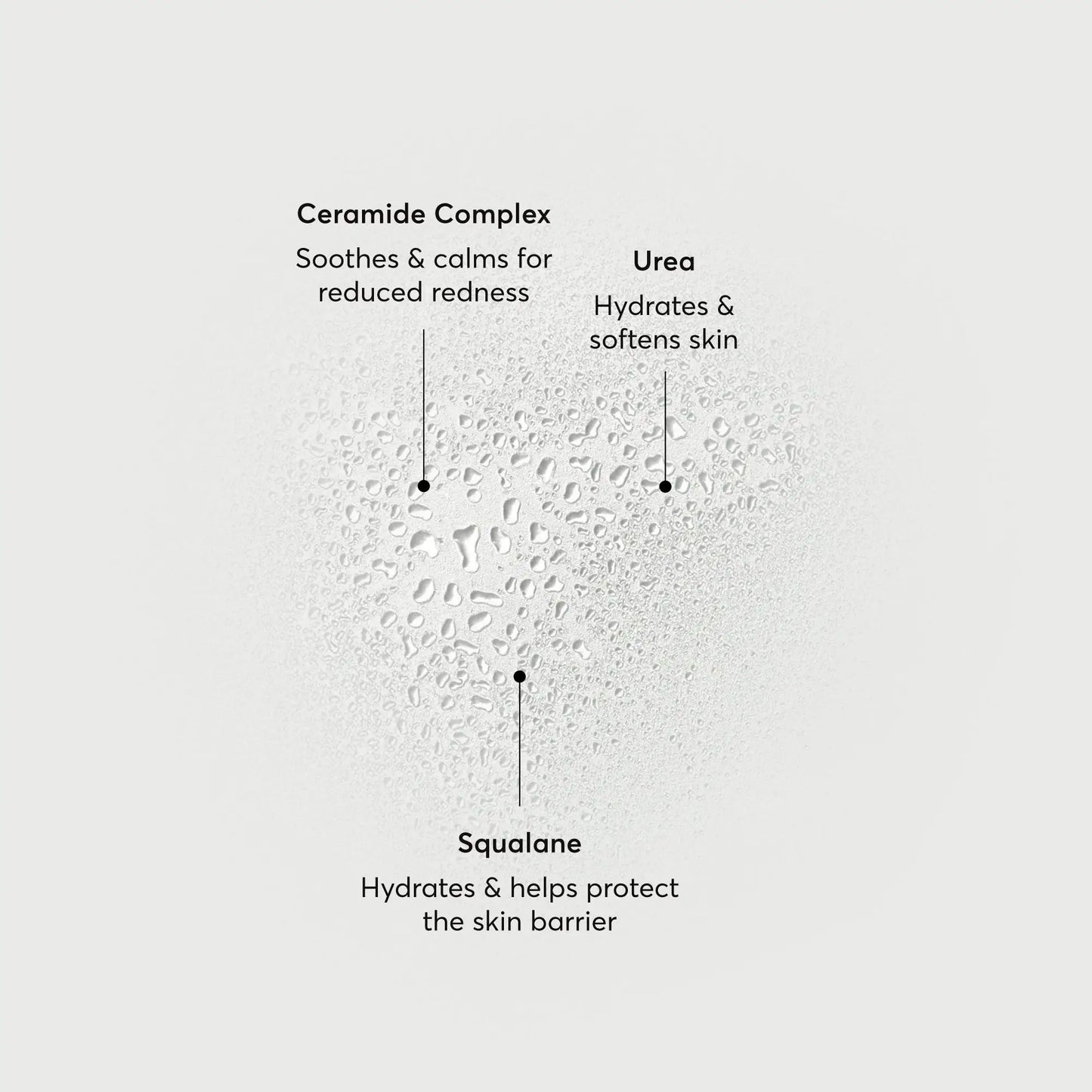 barrier-bounce-bi-phase-mist-c7 NATR-10167-Alt-Images-Barrier-Bounce-Bi-Phase-Toner-Mist_01.webp