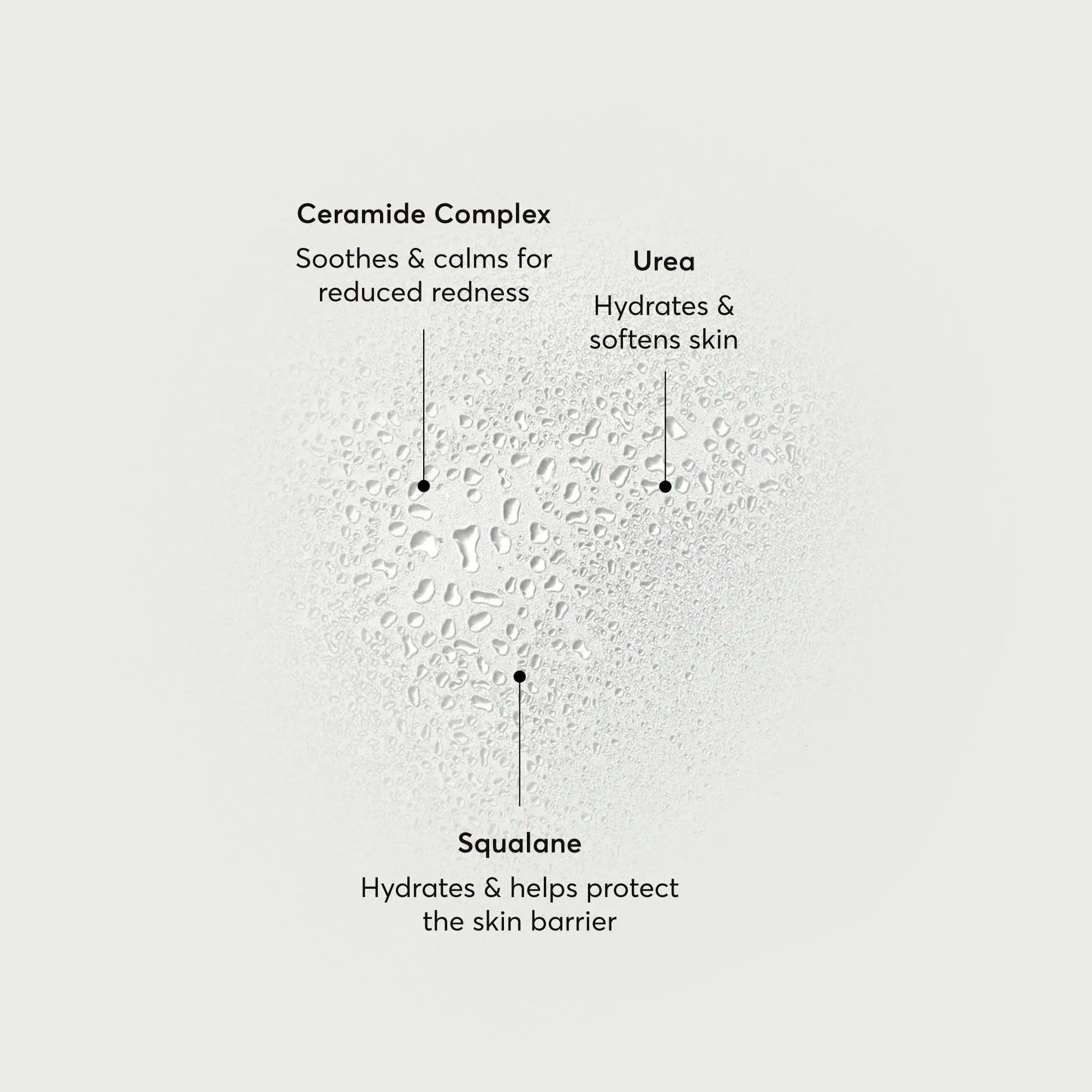 barrier-bounce-bi-phase-mist-c7 NATR-10167-Alt-Images-Barrier-Bounce-Bi-Phase-Toner-Mist_01.webp