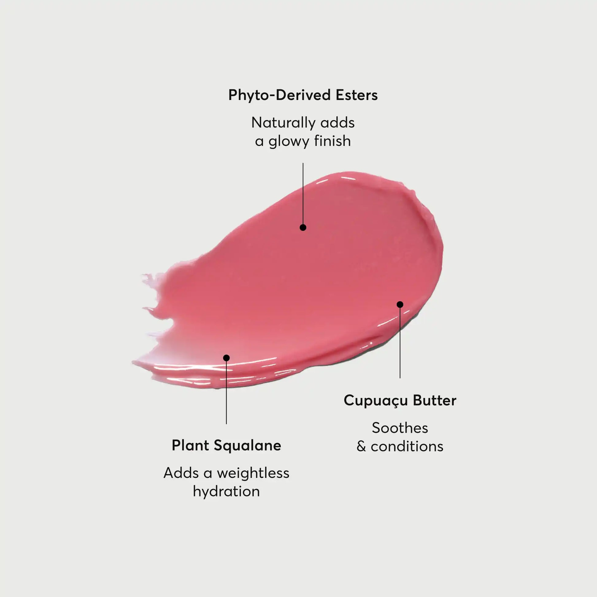 phyto-glow-lip-balm-petal-p4 NATR-60067-Alt-Images-Phyto-Glow-Lip-Balm-Petal-01.webp