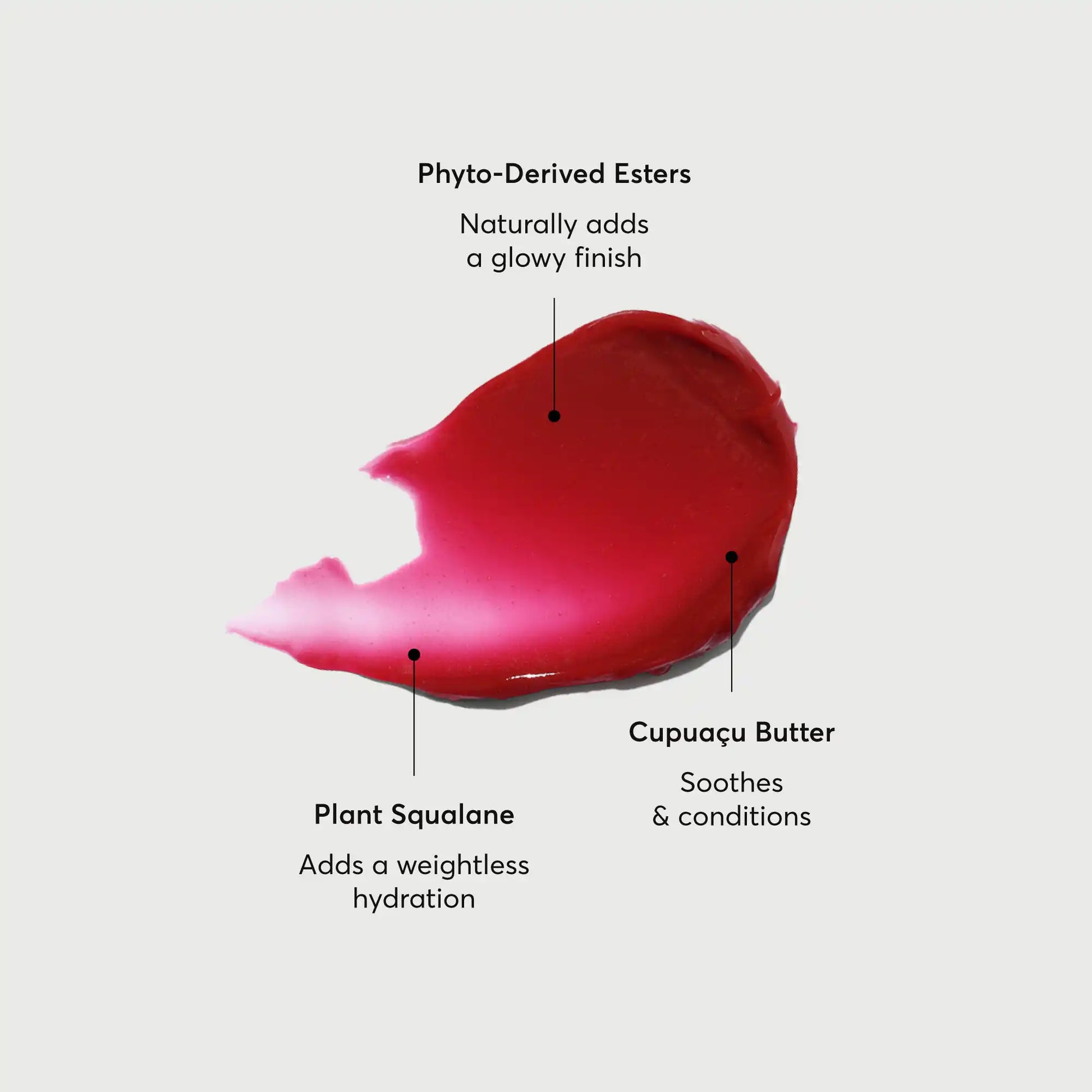 phyto-glow-lip-balm-lychee-x6 NATR-60072-Alt-Images-Phyto-Glow-Lip-Balm-Lychee-01.webp